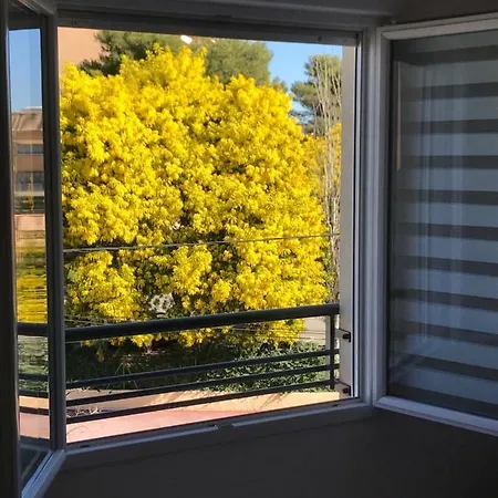 Appart’ Au Port Apartament Fréjus